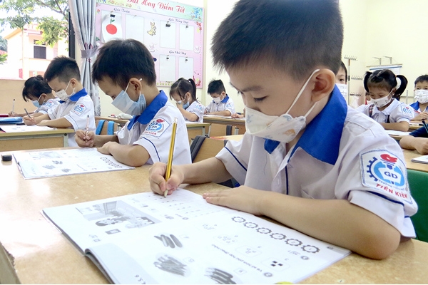 tính diện tích hình chữ nhật