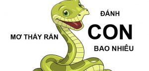 Nằm mơ thấy rắn đánh số gì? Ý nghĩa của giấc mơ thấy rắn