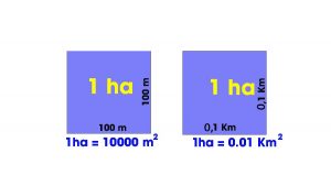 Khái niệm về ha, m2. 1ha bằng bao nhiêu m2​