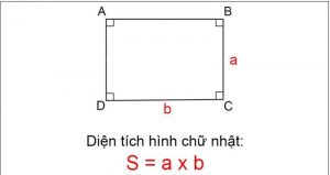 tính diện tích hình chữ nhật