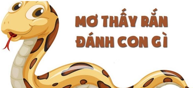 Nằm Mơ Thấy Rắn Đánh Số Gì